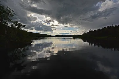 Heggelivann i kveldslys