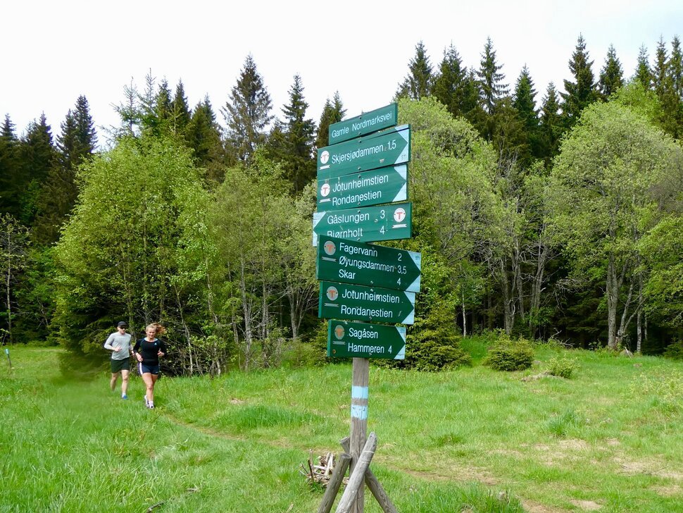 Veikryss på Kamphaug