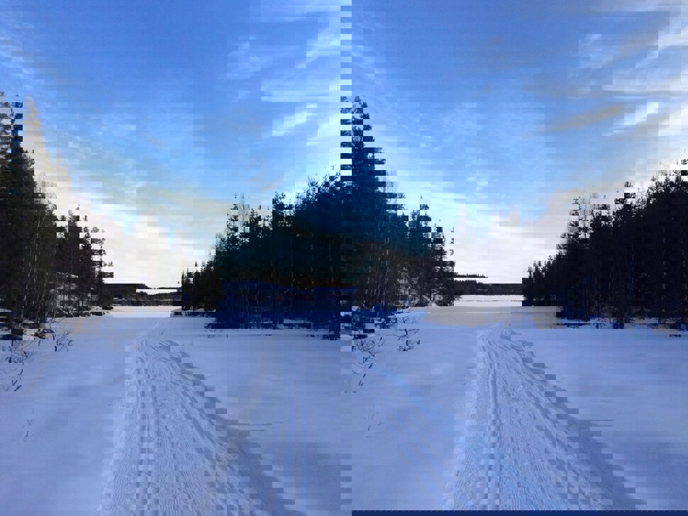 Ut på Skumsjøen i Tjærevika