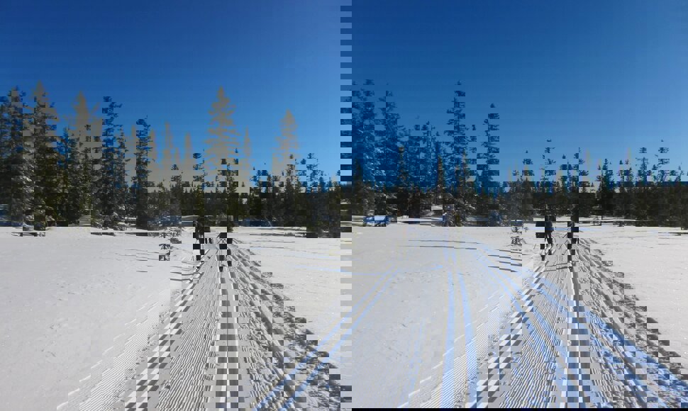 Over myrene ved Lopperud