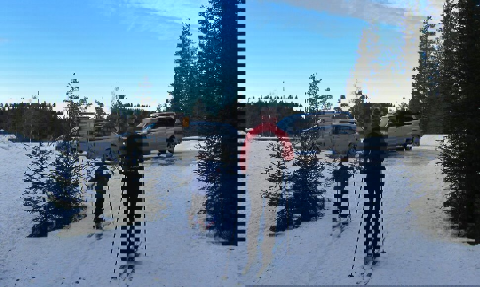 Tilbake ved Hakksvea