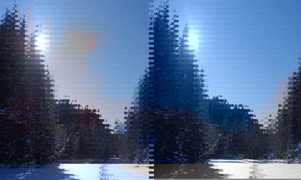 Snarveien over Fortjern