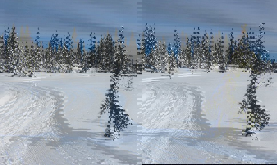 I rundløypa mot Startjern