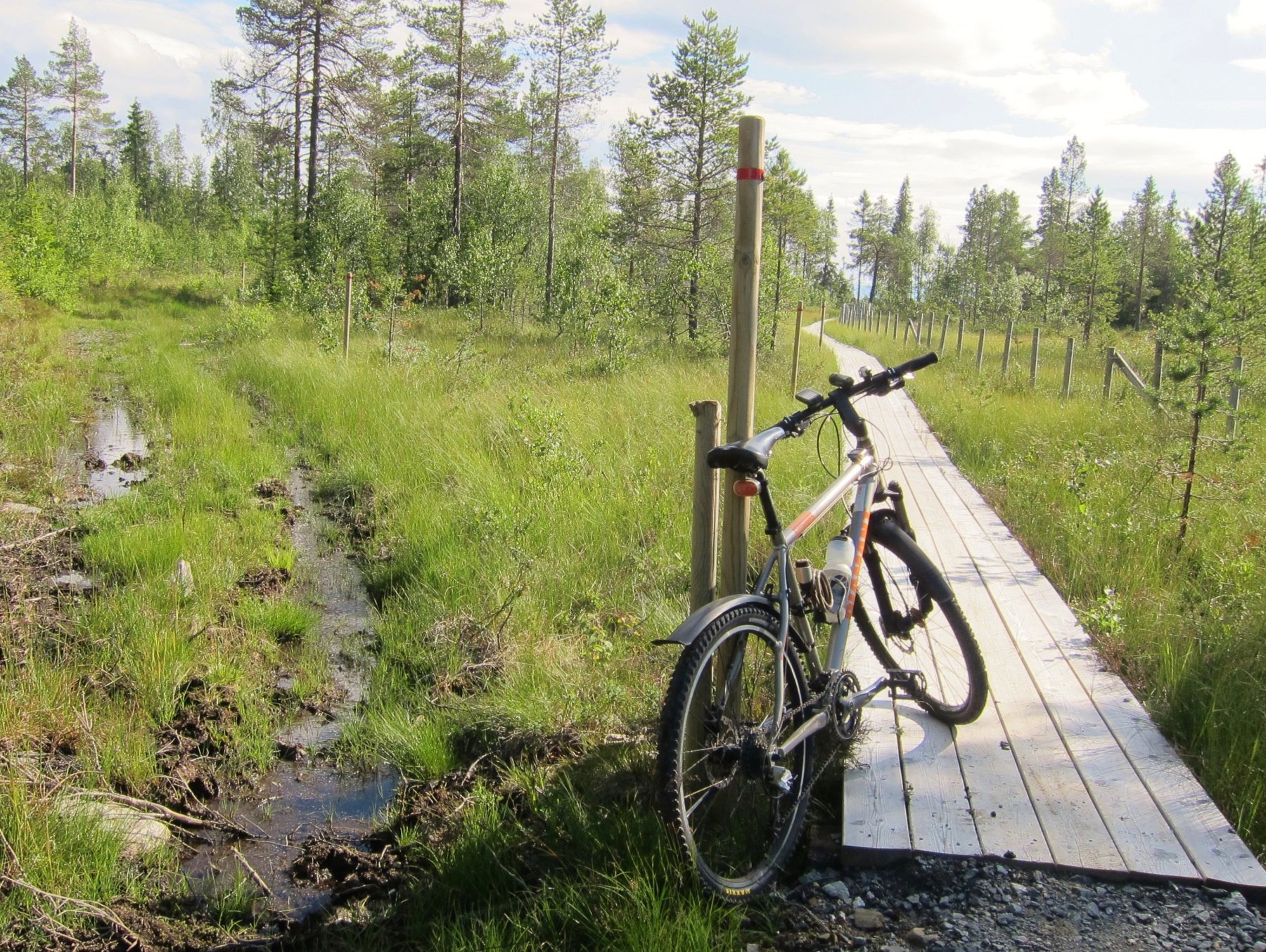 "Tørrskodd på """"plankesti"""" fra Lygna"