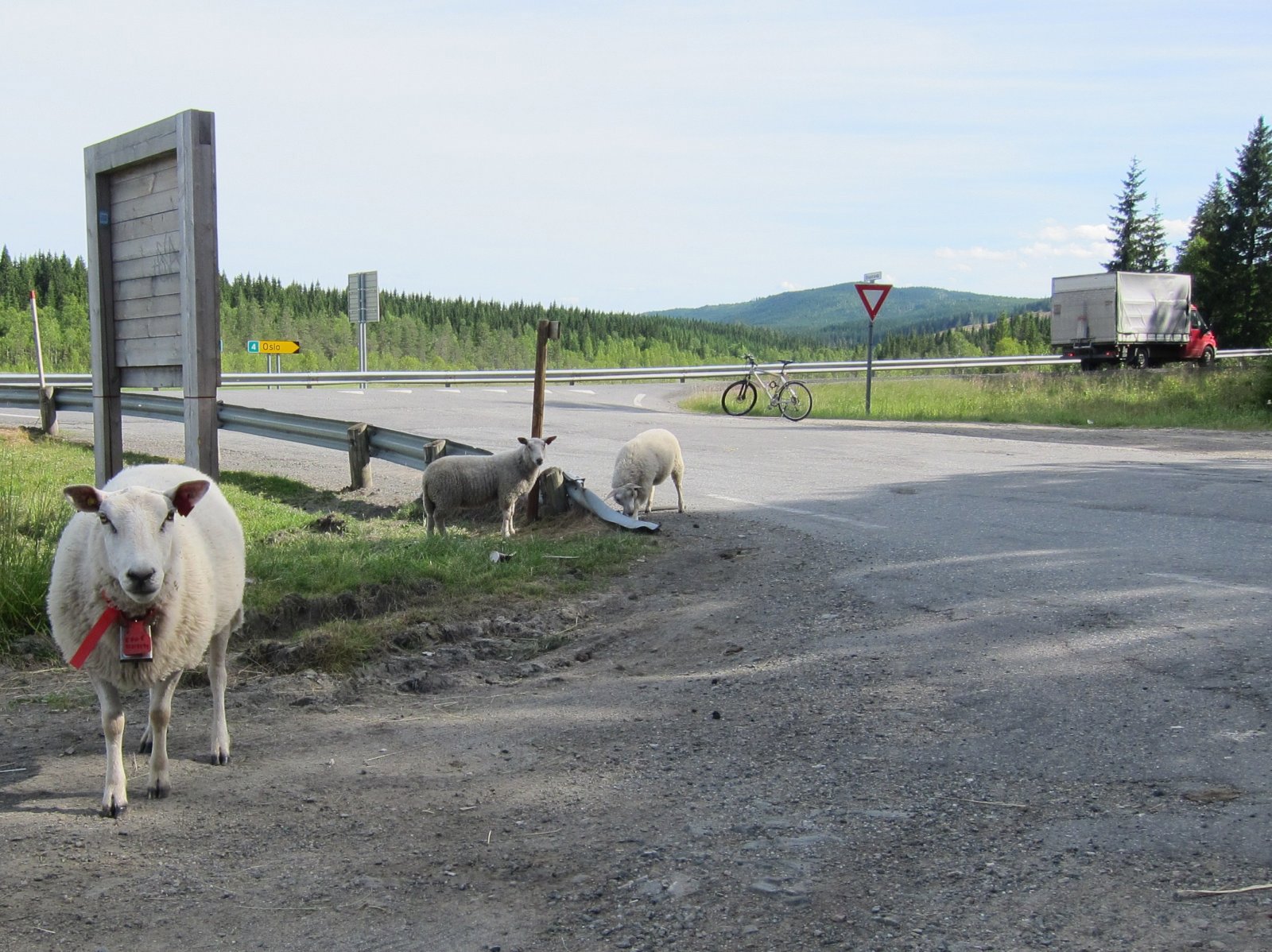 - Vi passer oss for bilene