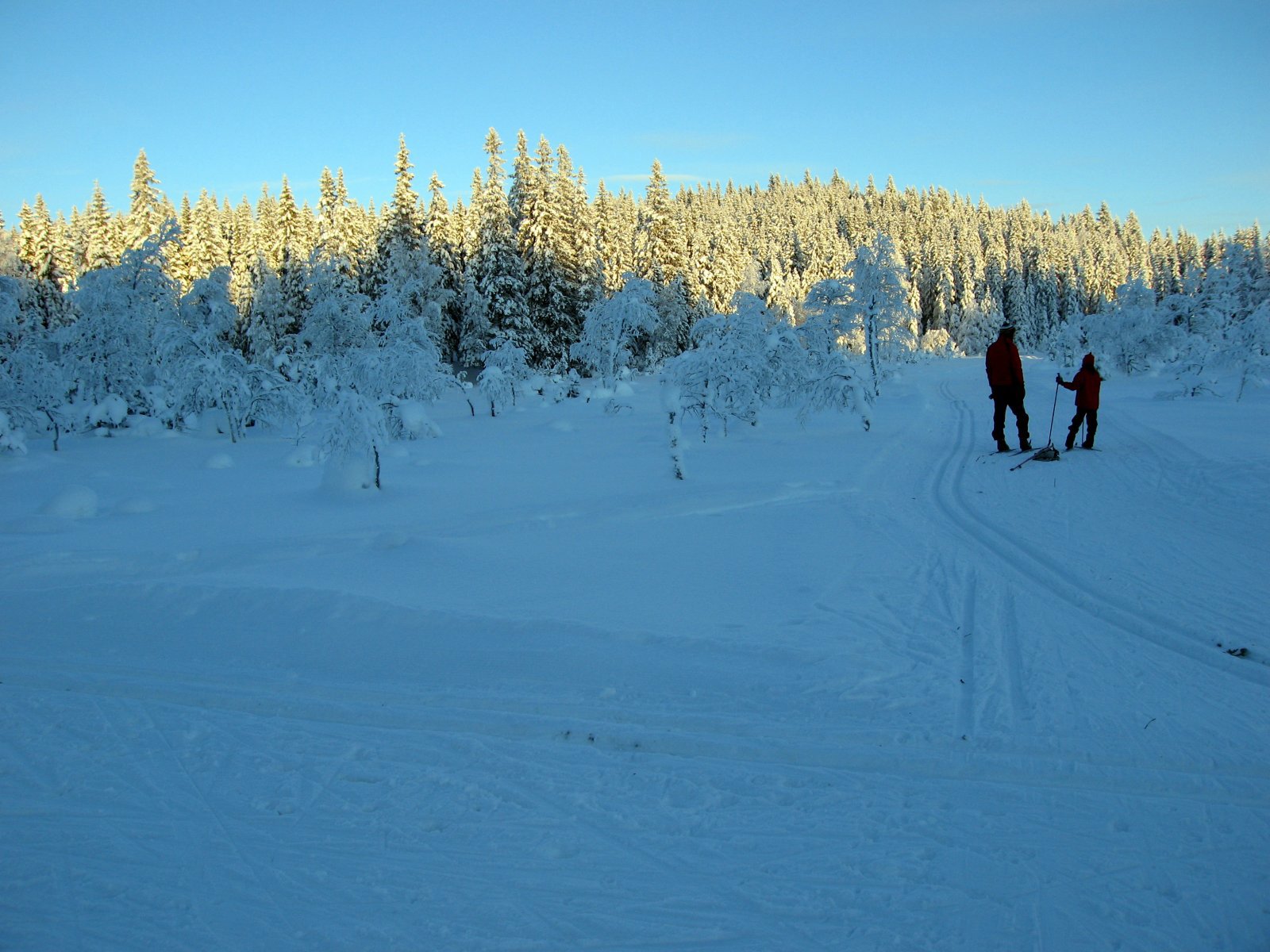 1. juledag ved Stormyra