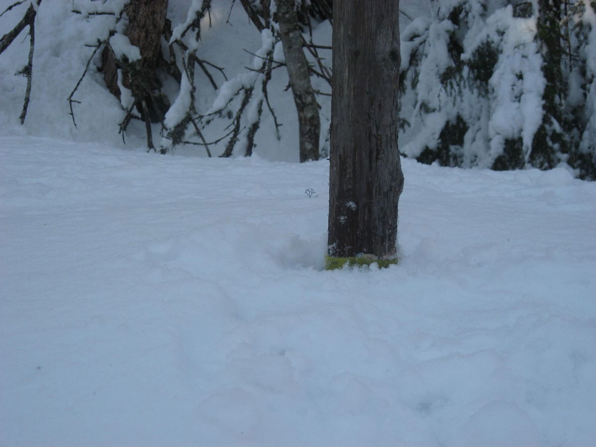 200 cm snø i Villmannsdalen