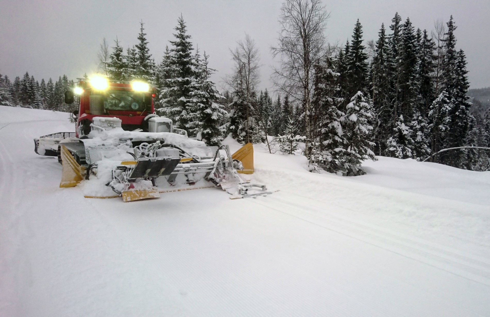 5 til 15 centimeter lett nysnø og supre forhold