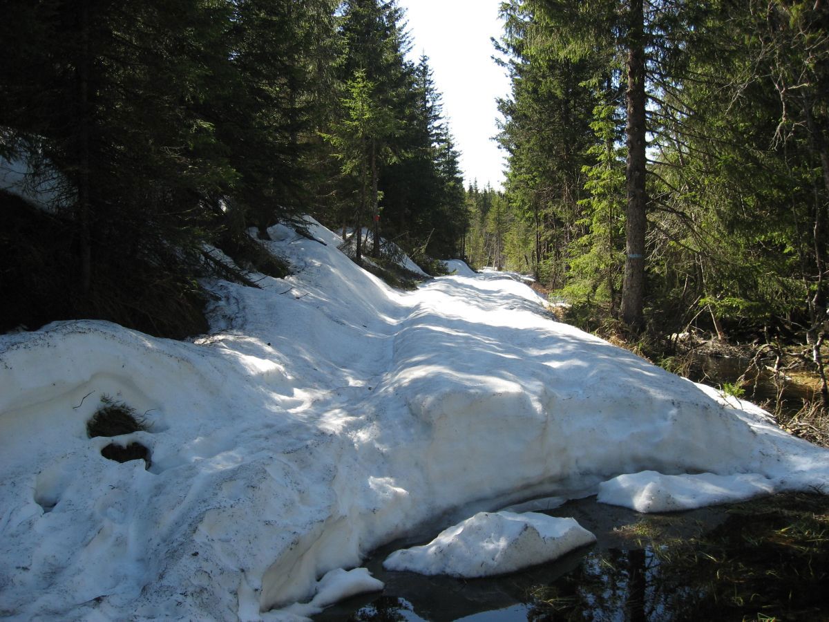 80 cm såle ved Oppkuvvann