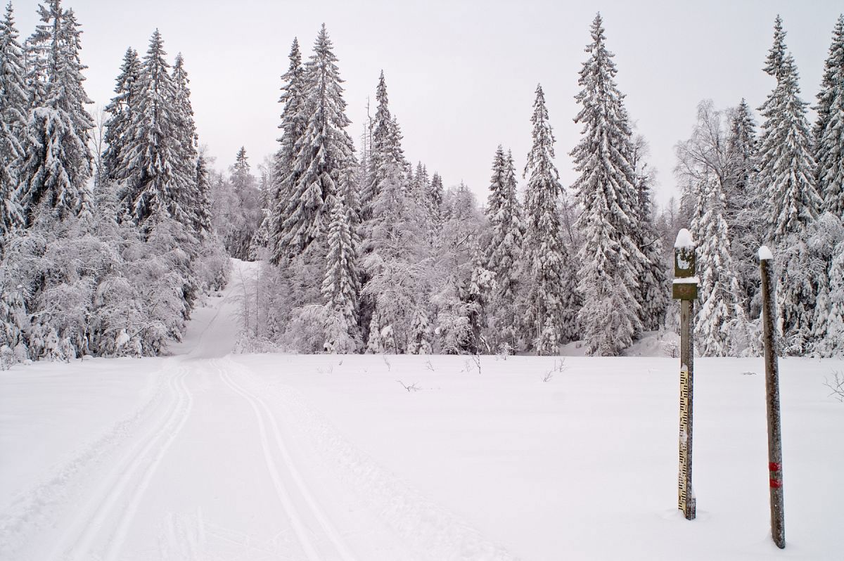 90 cm ved Brunkollen!