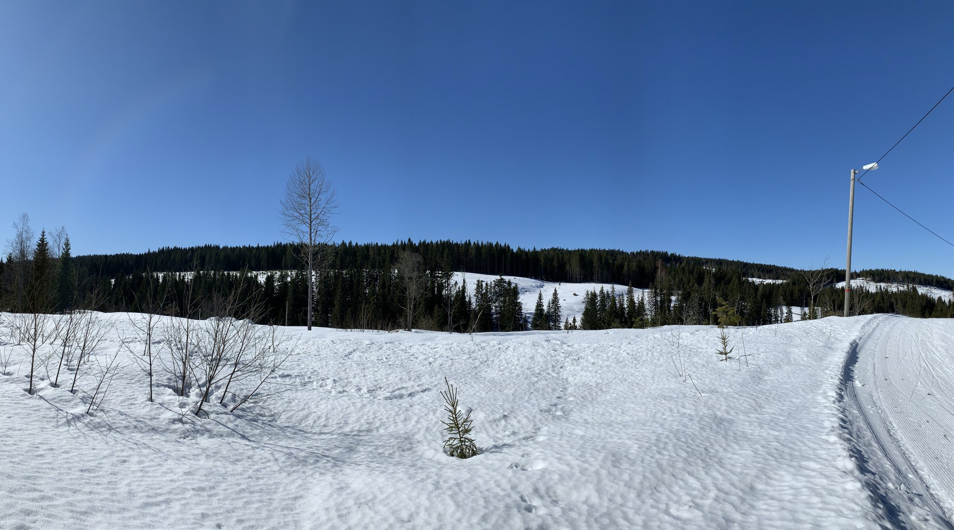 Åboråsen sett fra vest