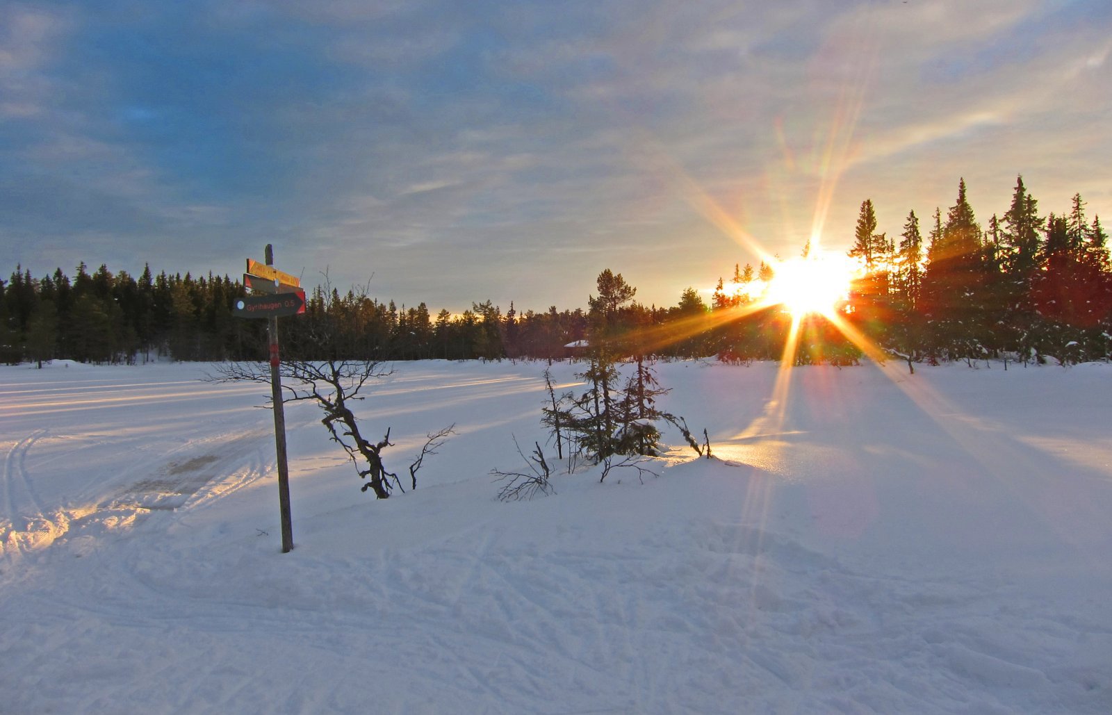 Aftenopplevelse ved Lille Gyrihaugtjern