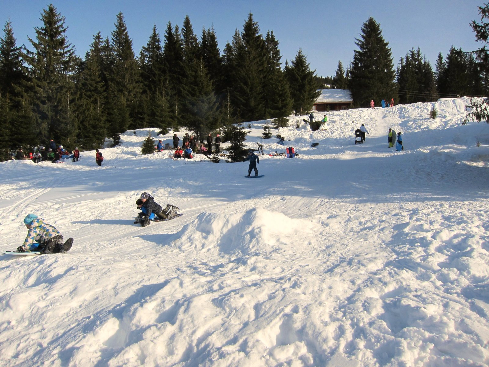 Akedag ved Gamle Torsætra