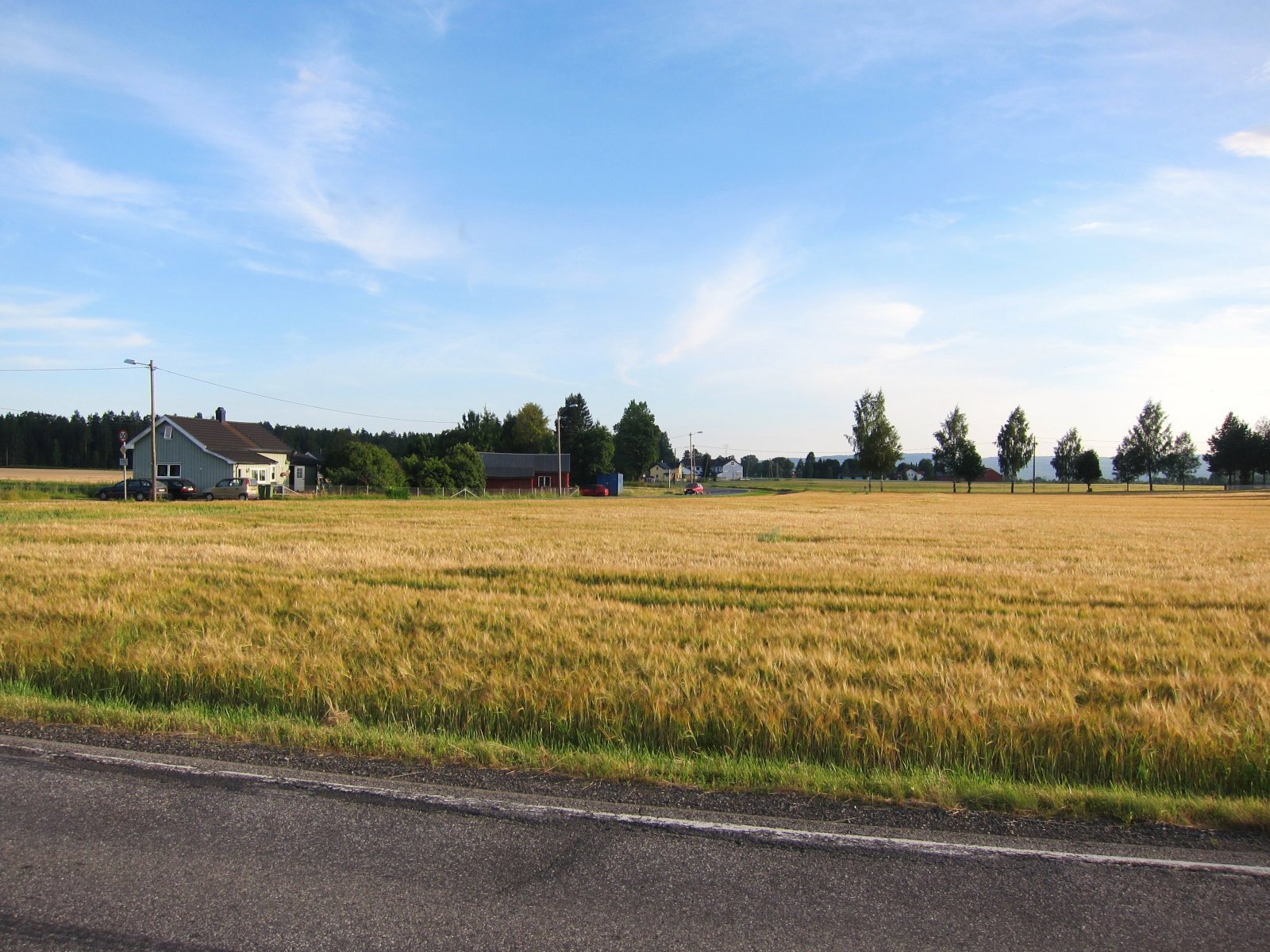 Åkerland ved Moreppen