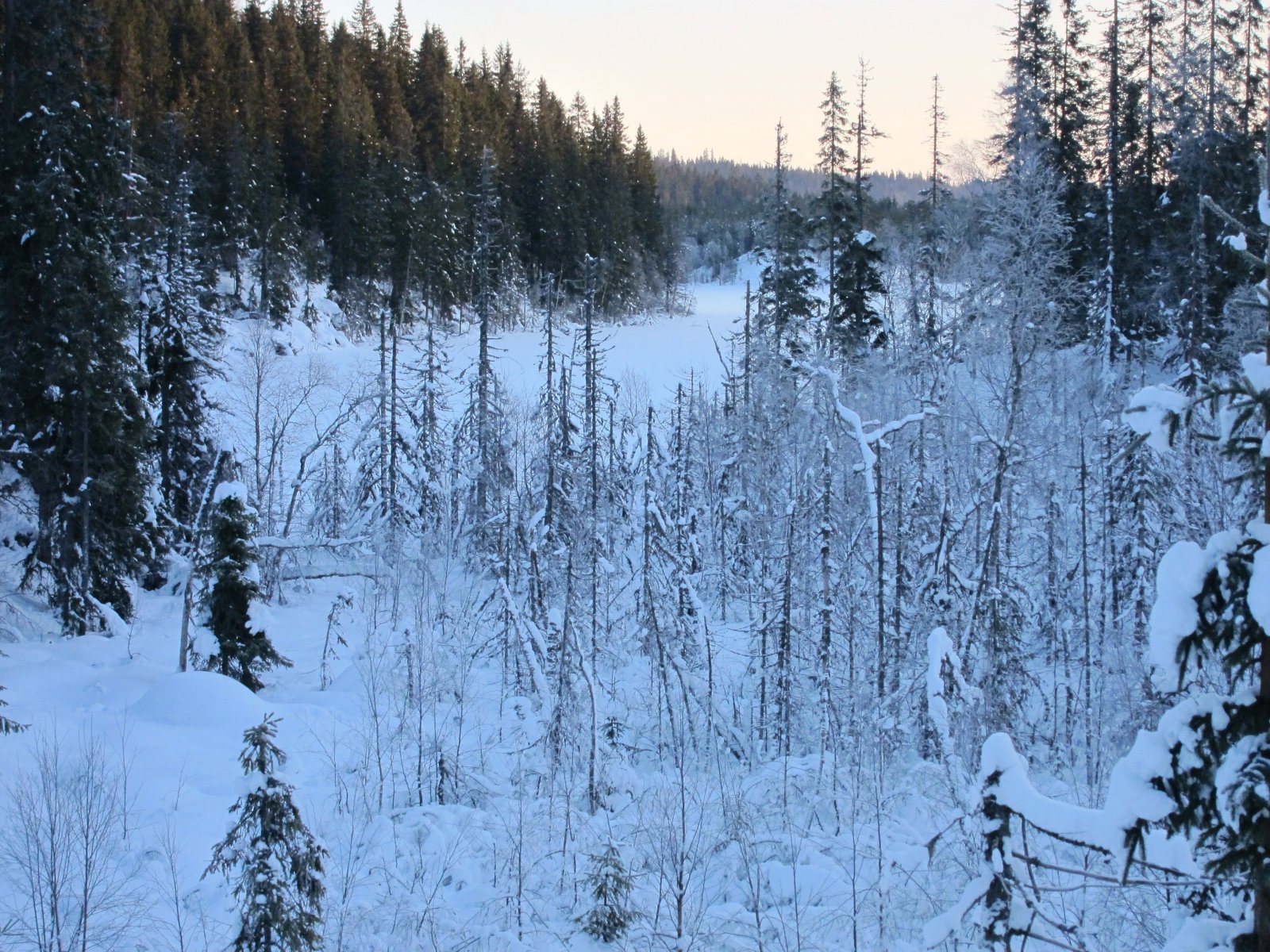 Aklangen i vinterdrakt