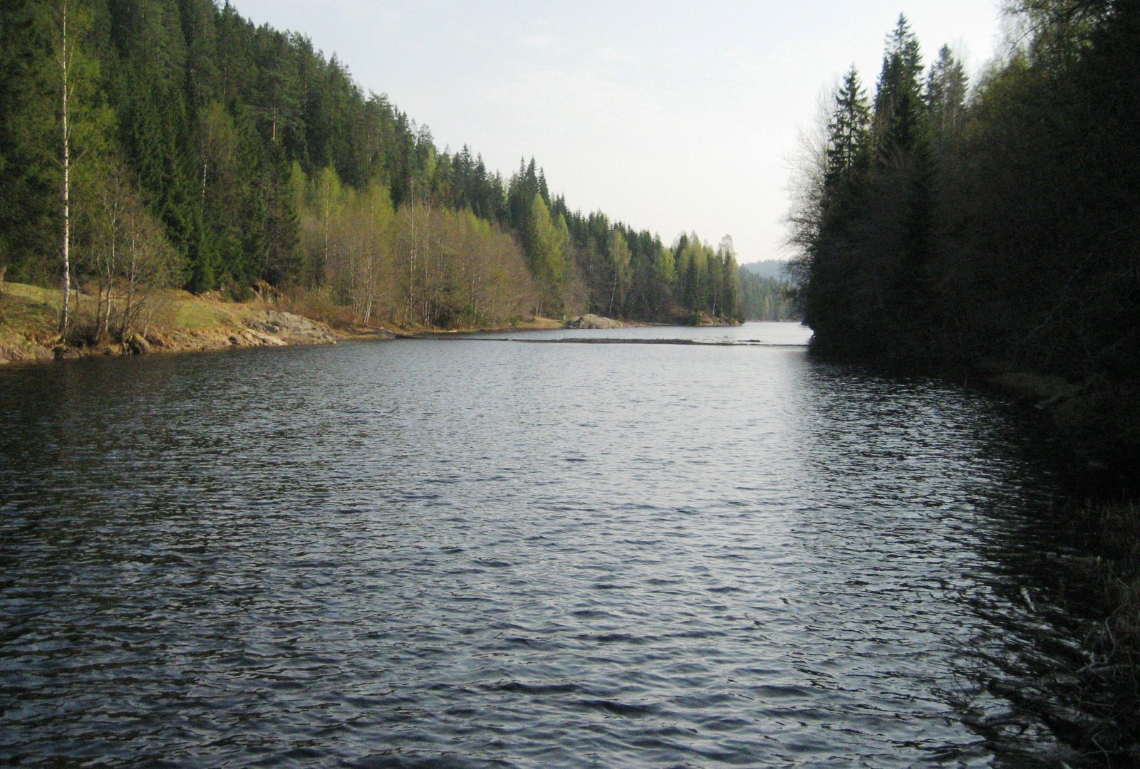 Åmotdammen andre påskedag