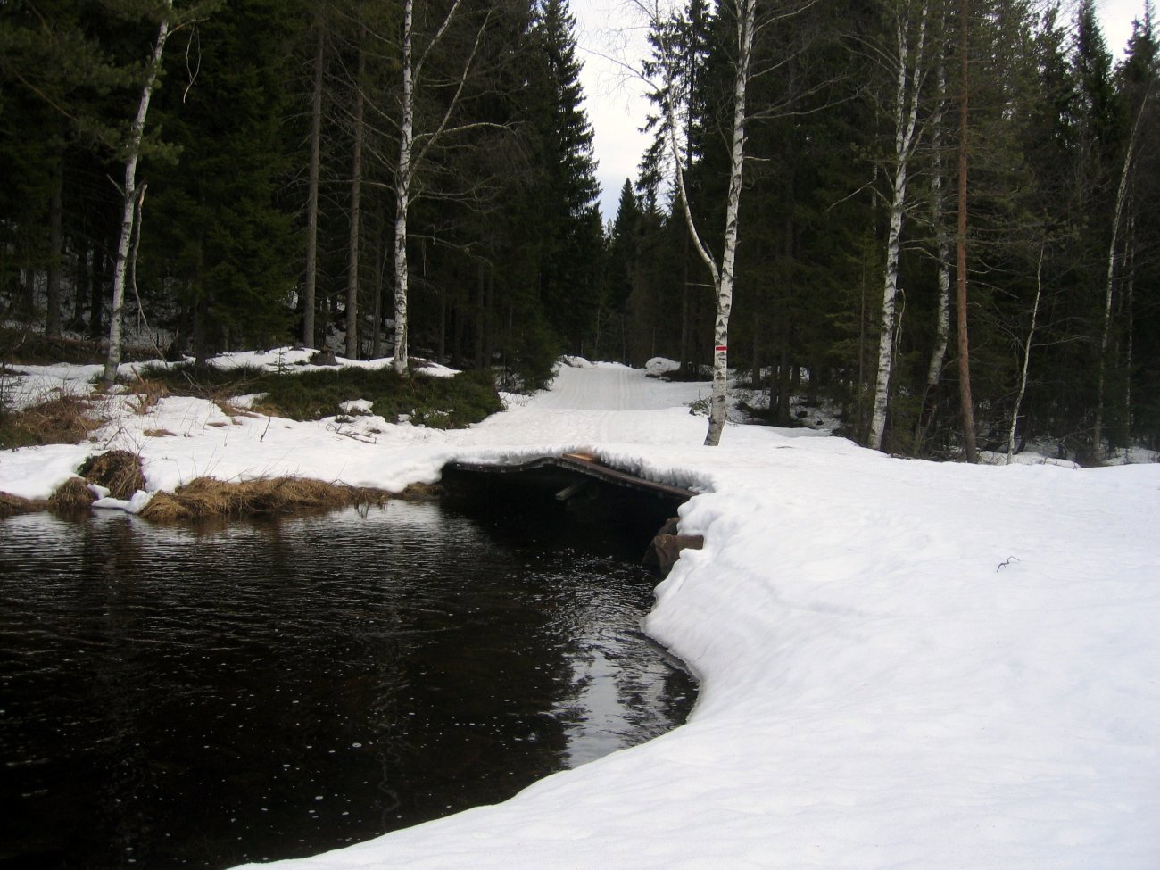 Åpen bekk ved Østre Aurtjern