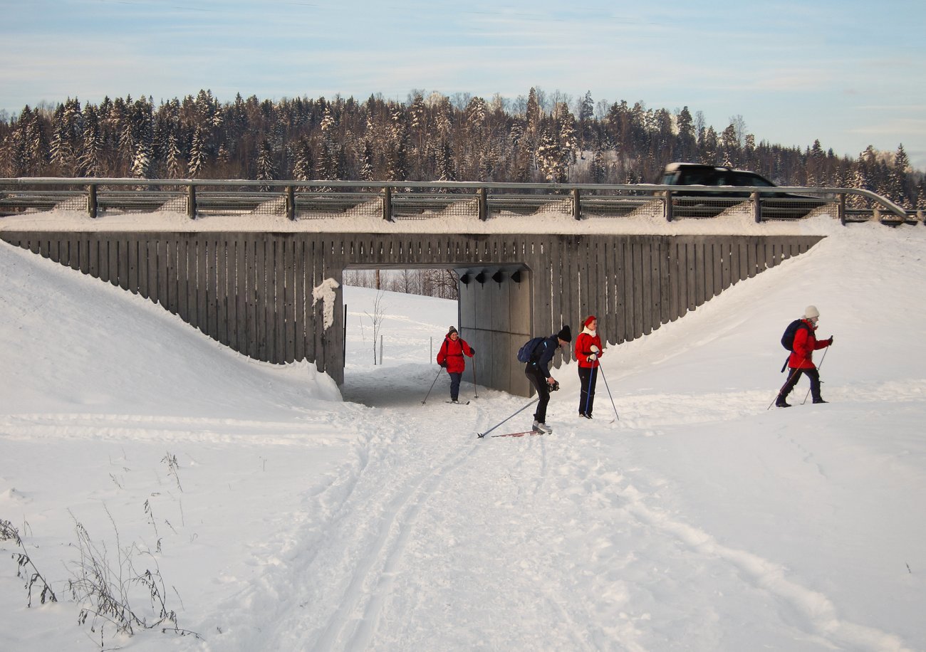 Åpent hull mot golfbanen