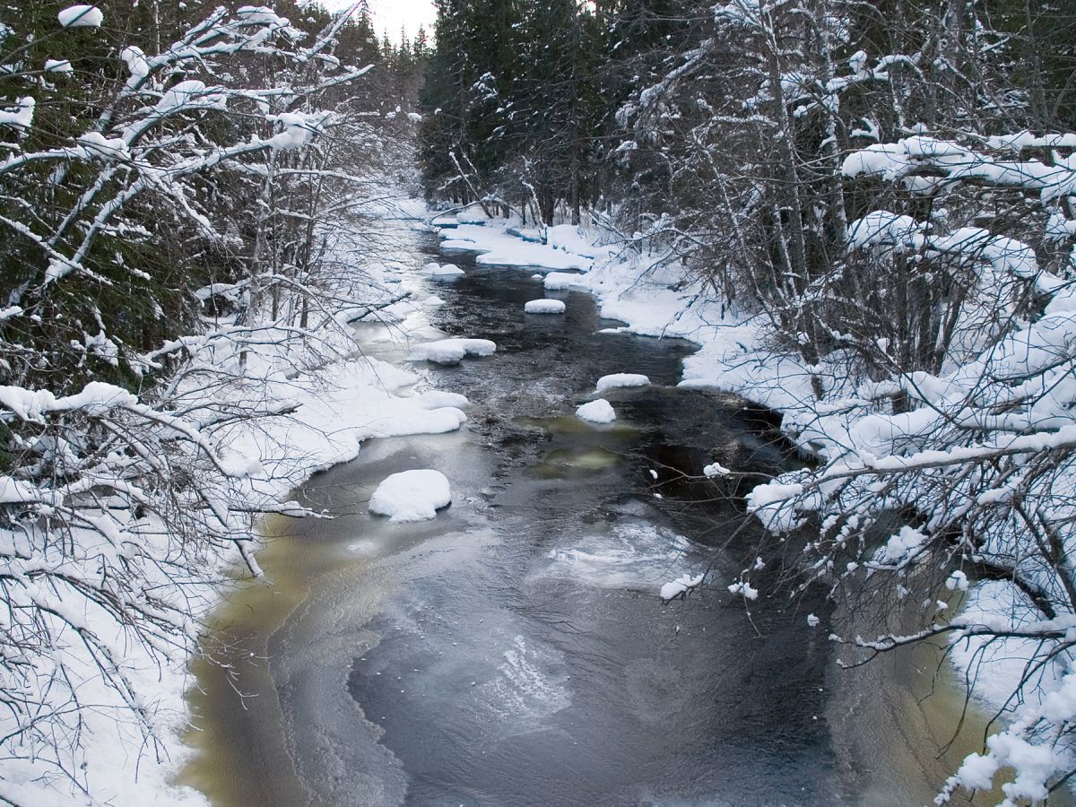 Åpent vann ved Tverrelva