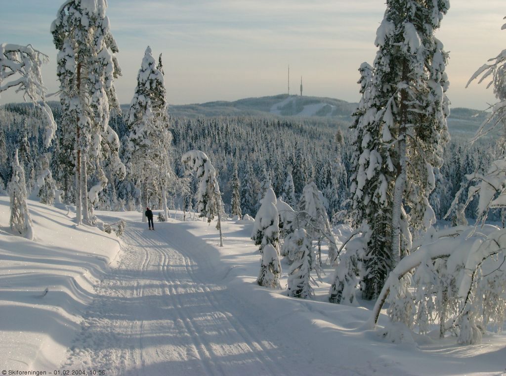 Appelsinhaugen i vintersol