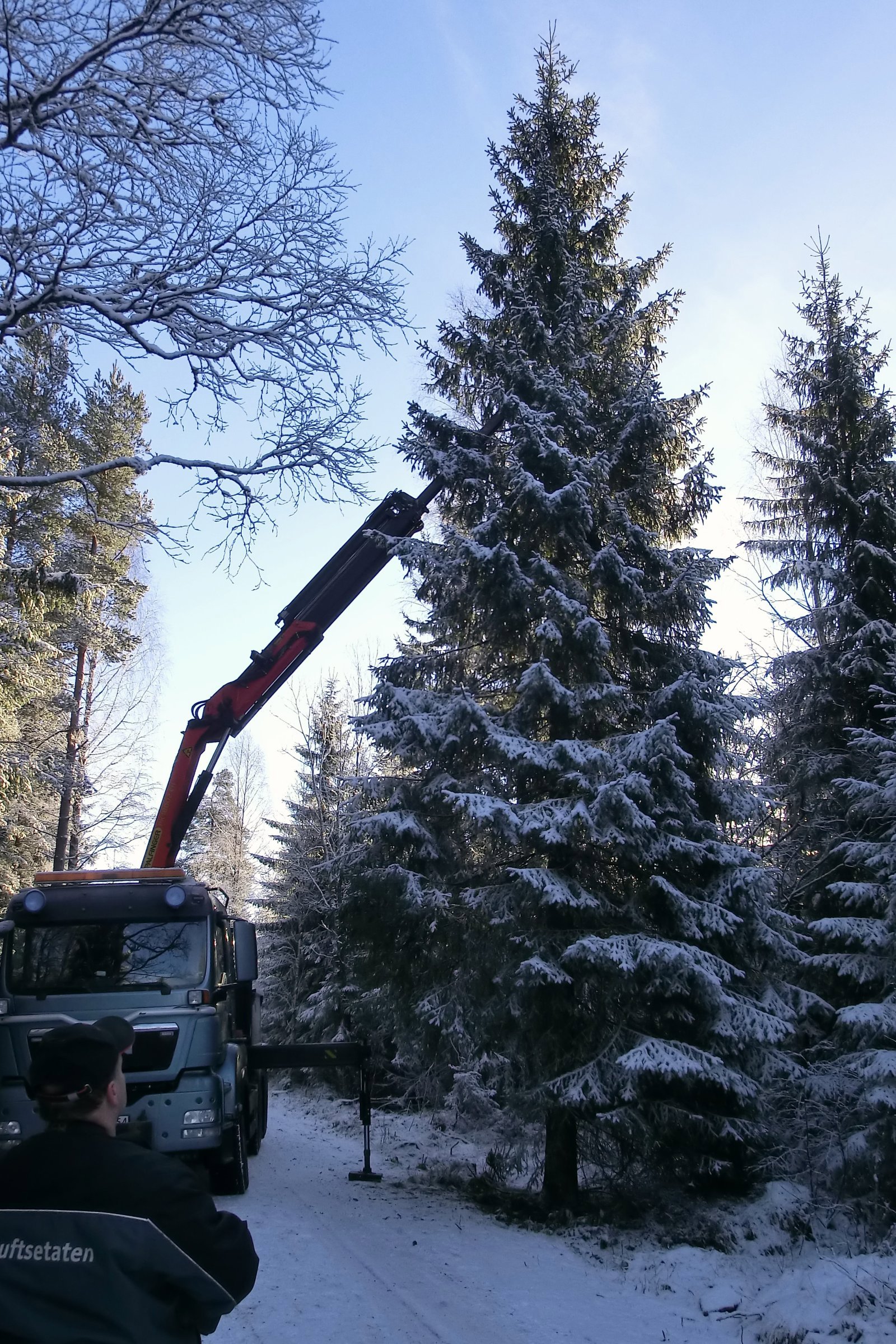 Årets julegran til Reykjavik
