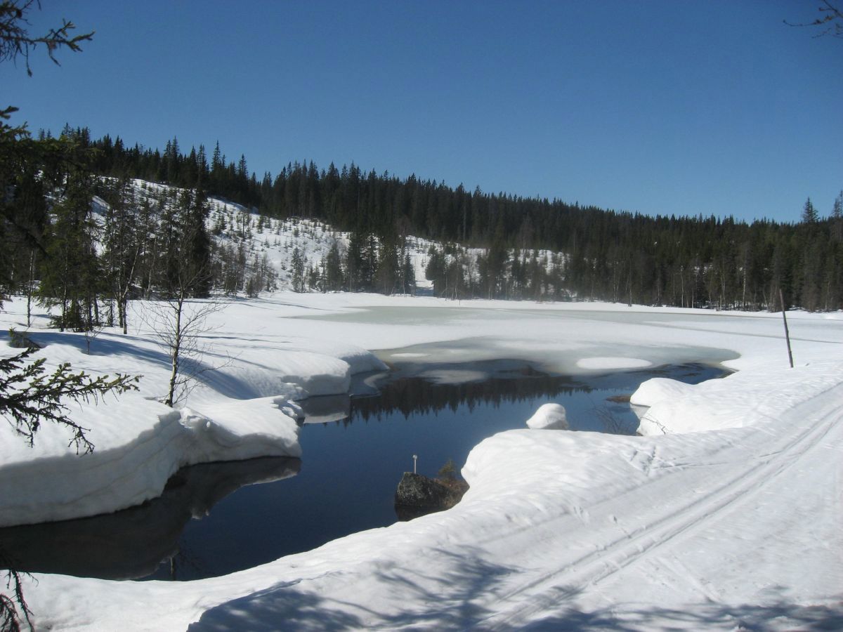 Auretjern ved Spålen