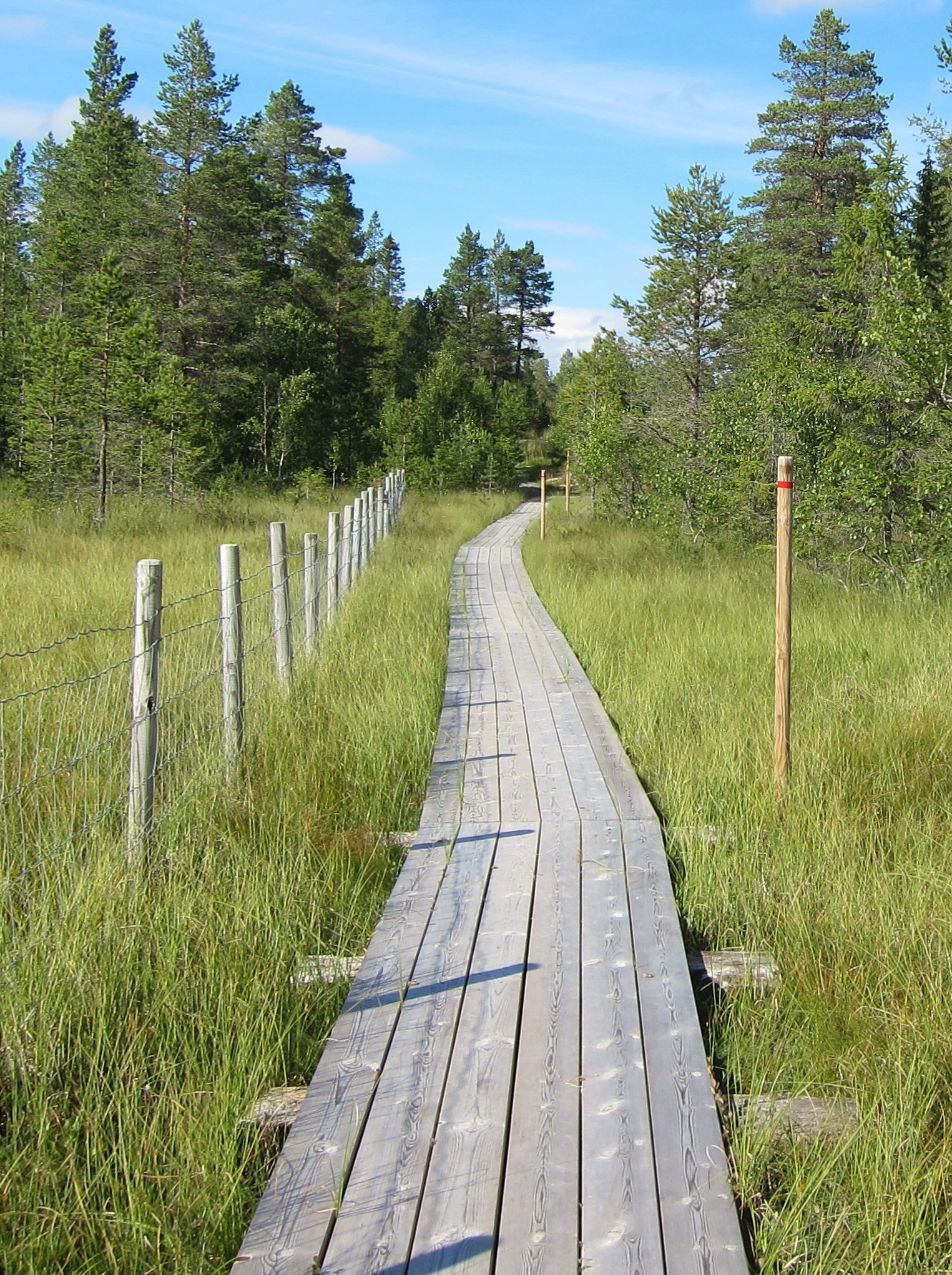 Autostrada over myrene