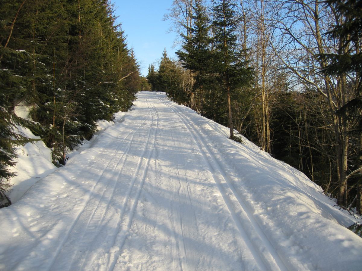 Avstikkere kan lønne seg
