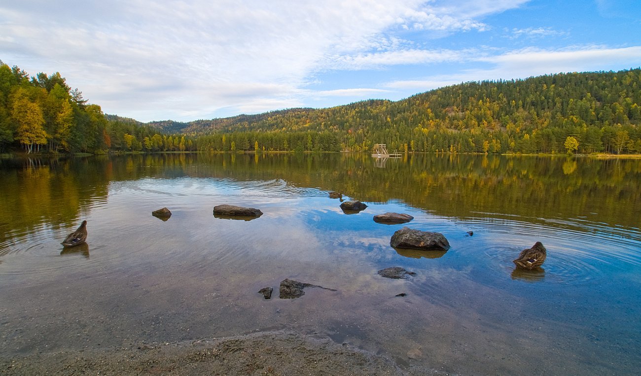 Badesesongen er over ved Burudvann