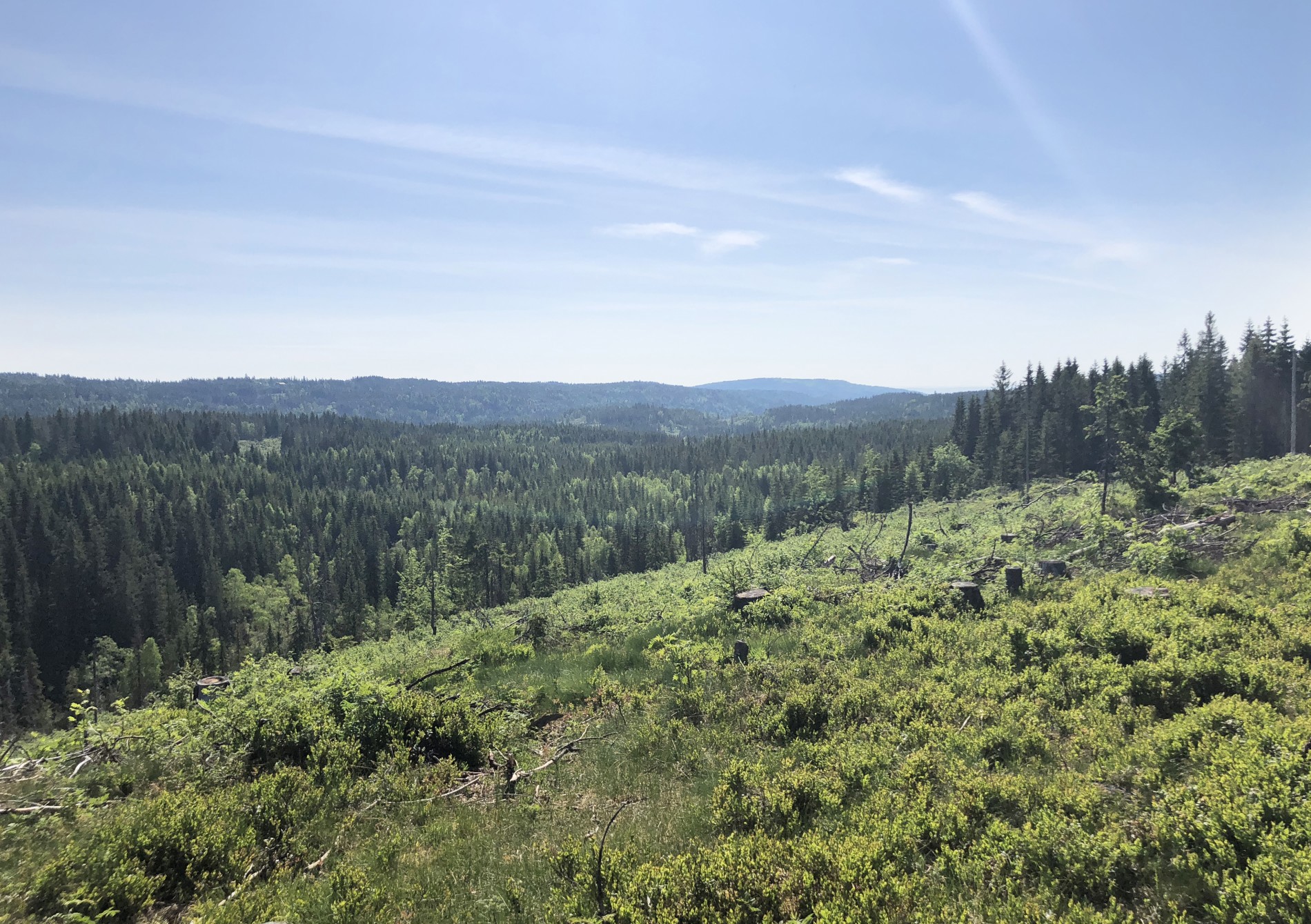 Beste utsiktspunkt på Sørsetra