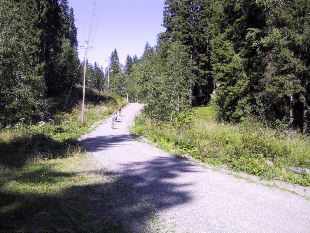 Bispedalen er lettest nedover