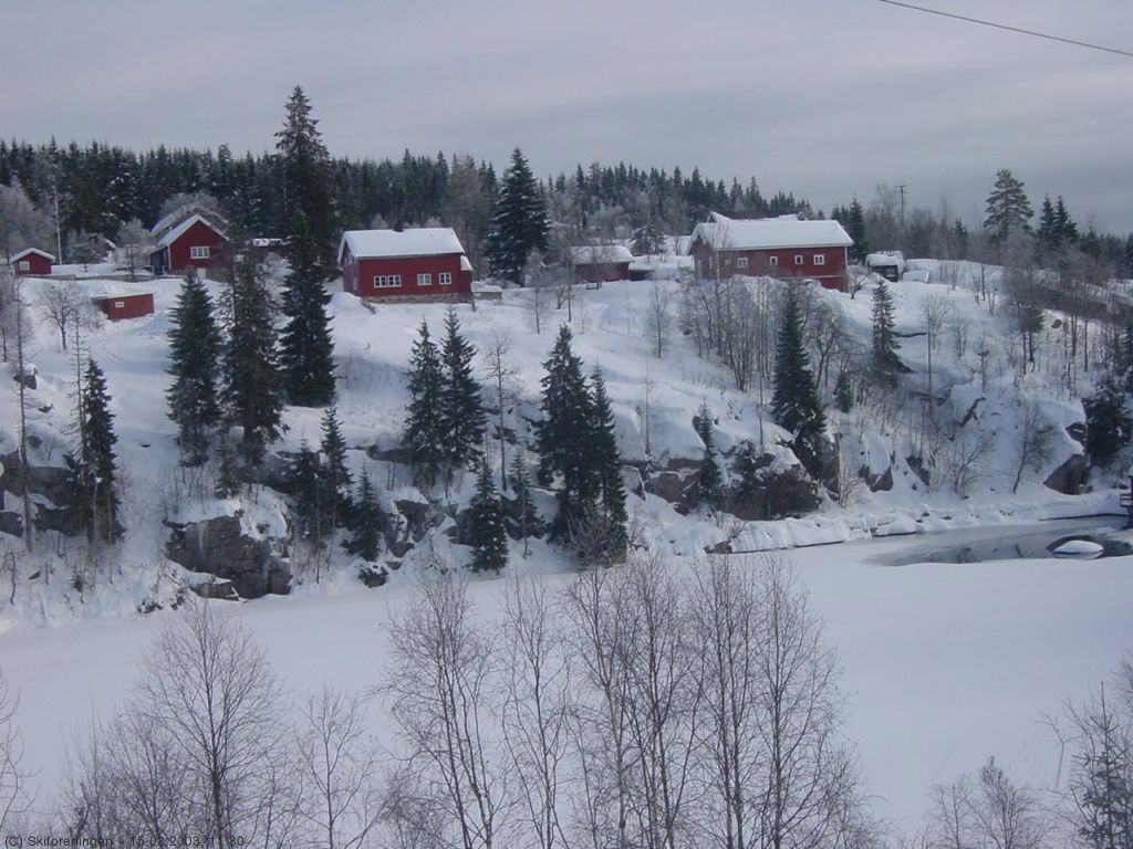 Bjørnholt sett fra Aurtjern-Bjørnsjøen løypa