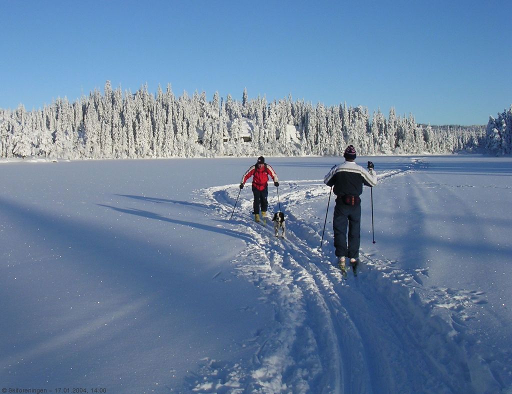 Blå himmel og god glid over Nibbitjern
