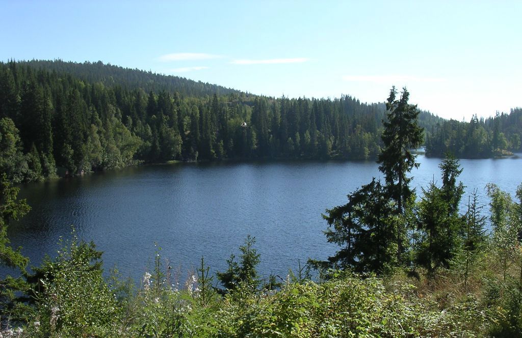 Blå Mosjø i grønne omgivelser