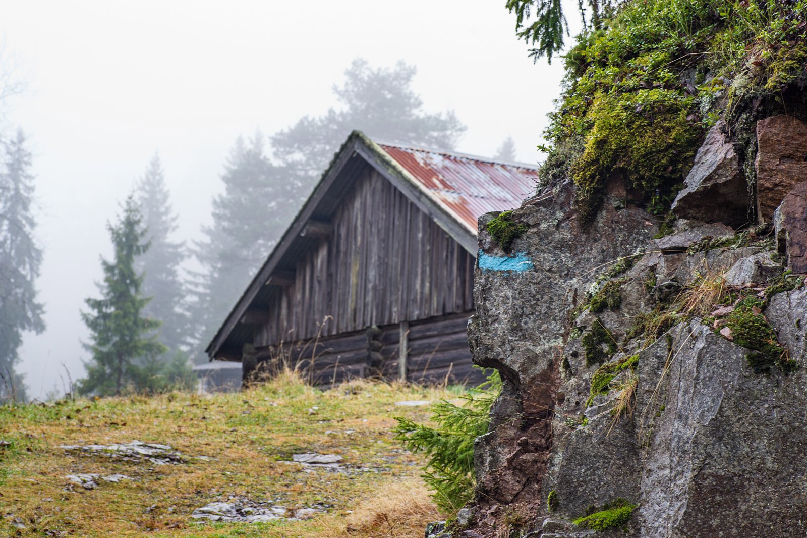 Blåmerking ved Skardtjern