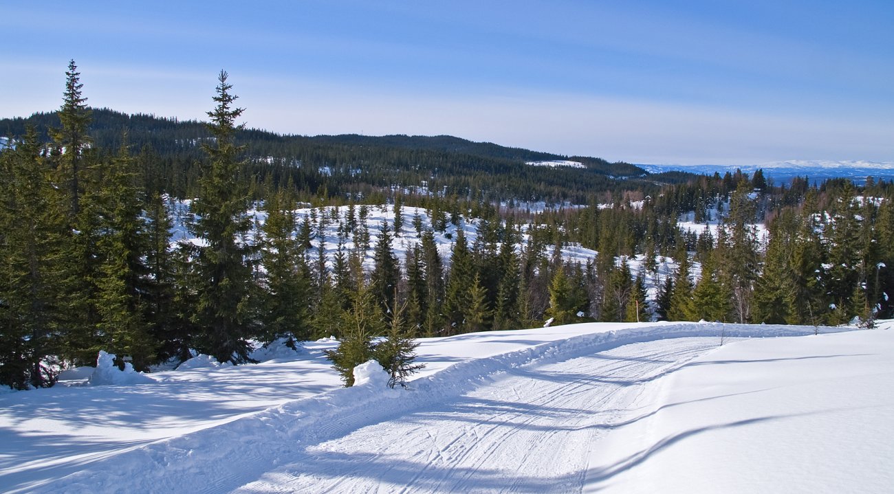 Blant de høyeste toppene i Marka