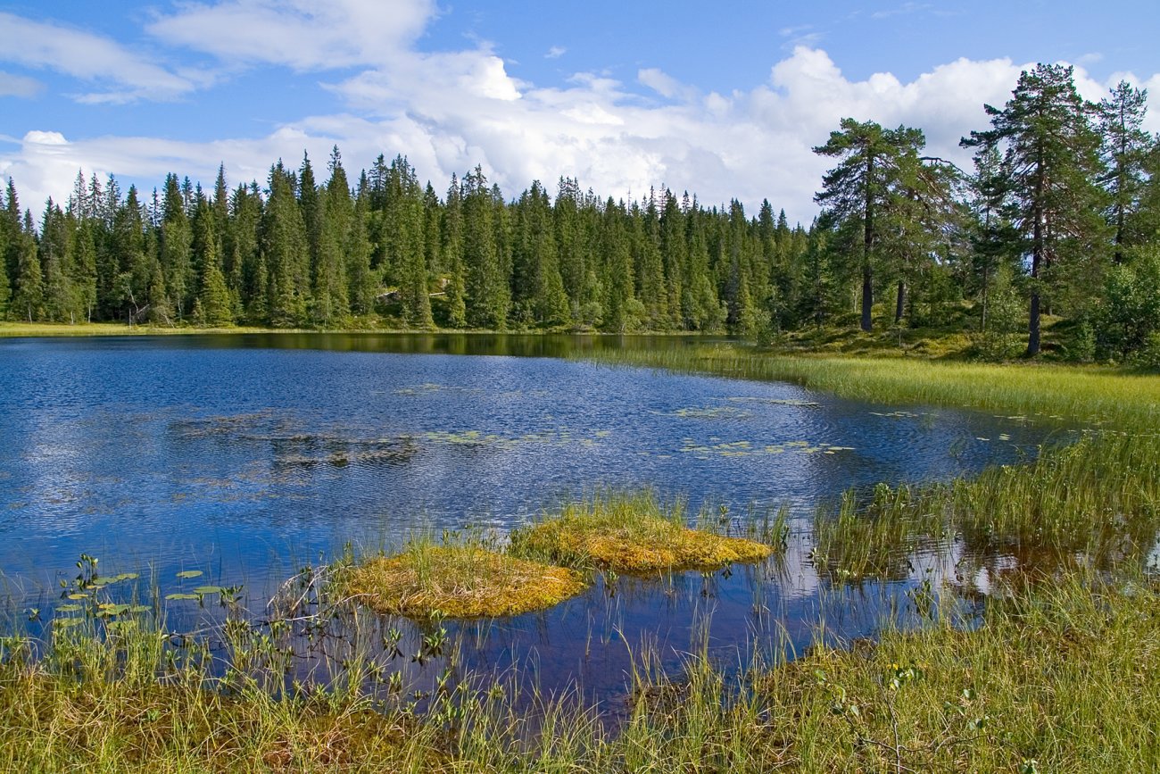 Blått Langtjern en vakker augustdag