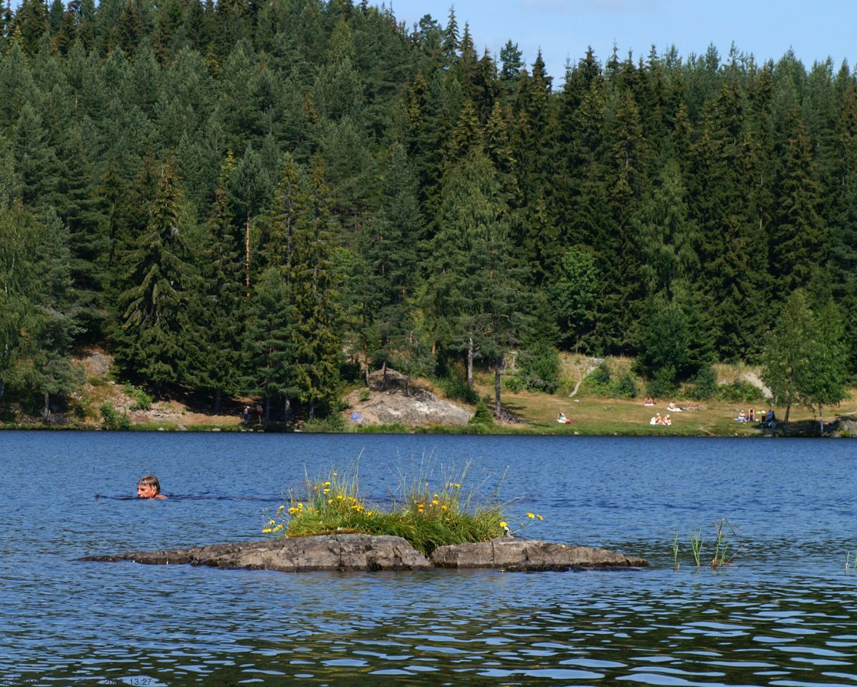 Blomsterøy i Østernvann