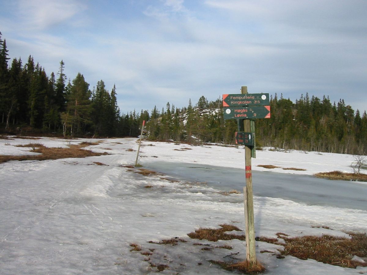 Borgersetrakrysset holder stand