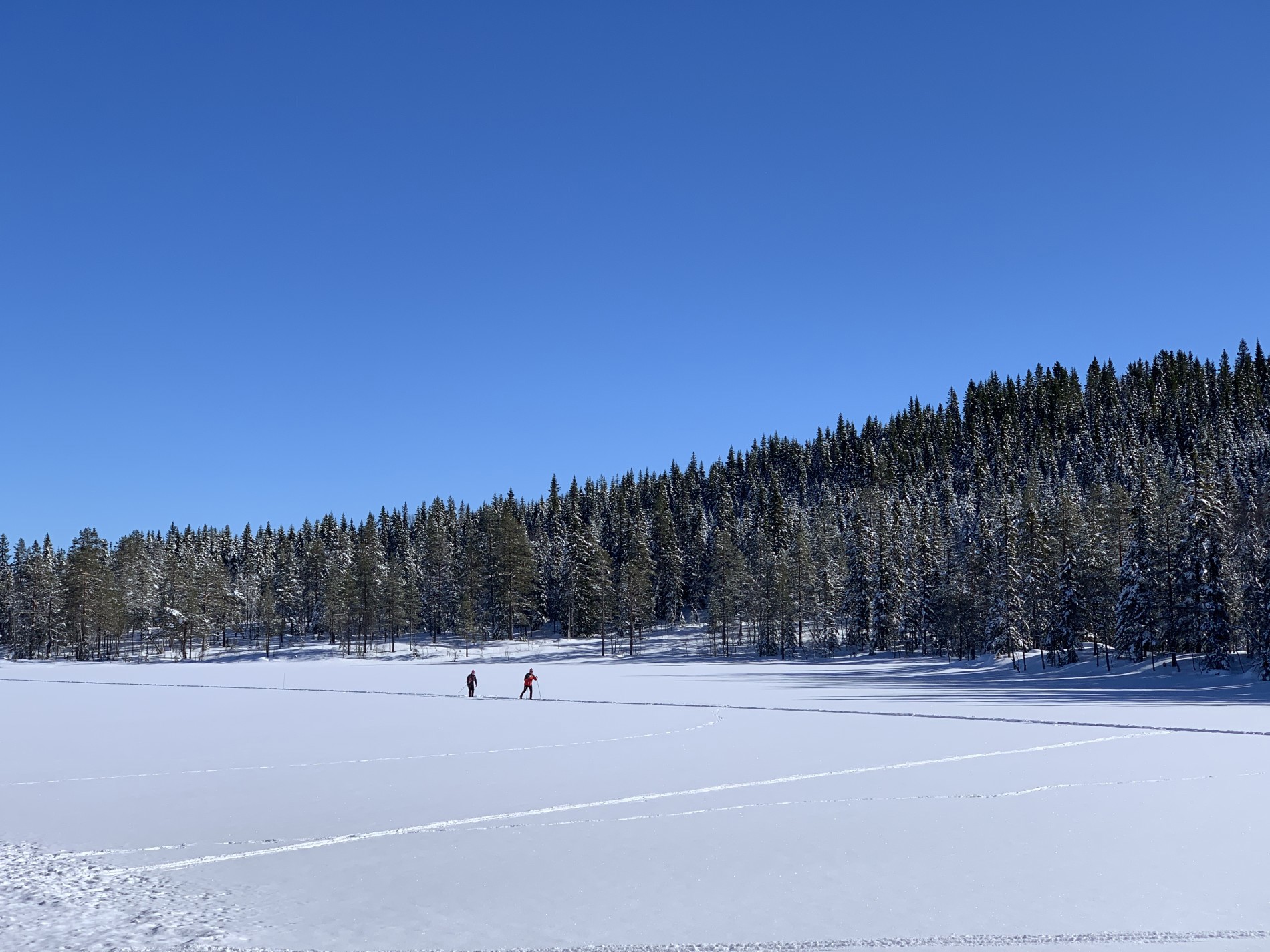 Bra driv i scooterløypa på Storflåtan