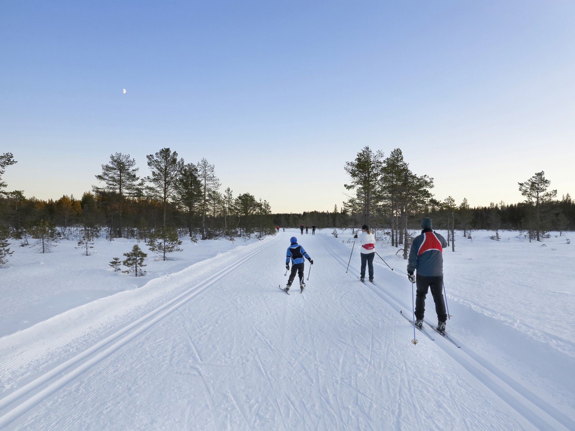 Bra skiføre i Gjøvikmarka
