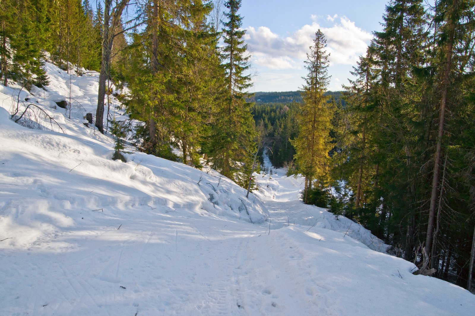 Bratt ned fra Frøshaug
