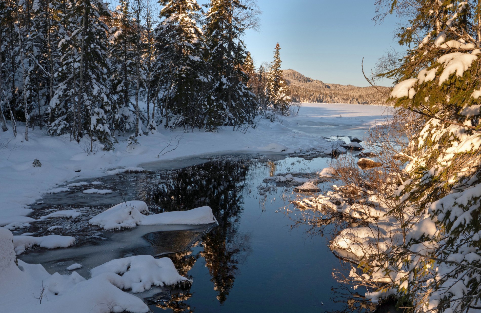 Breidtjernets utløp i sør