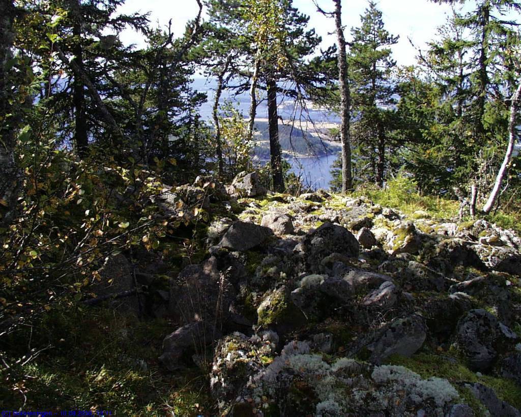 Bronsealderrøysa ved Skardtjern