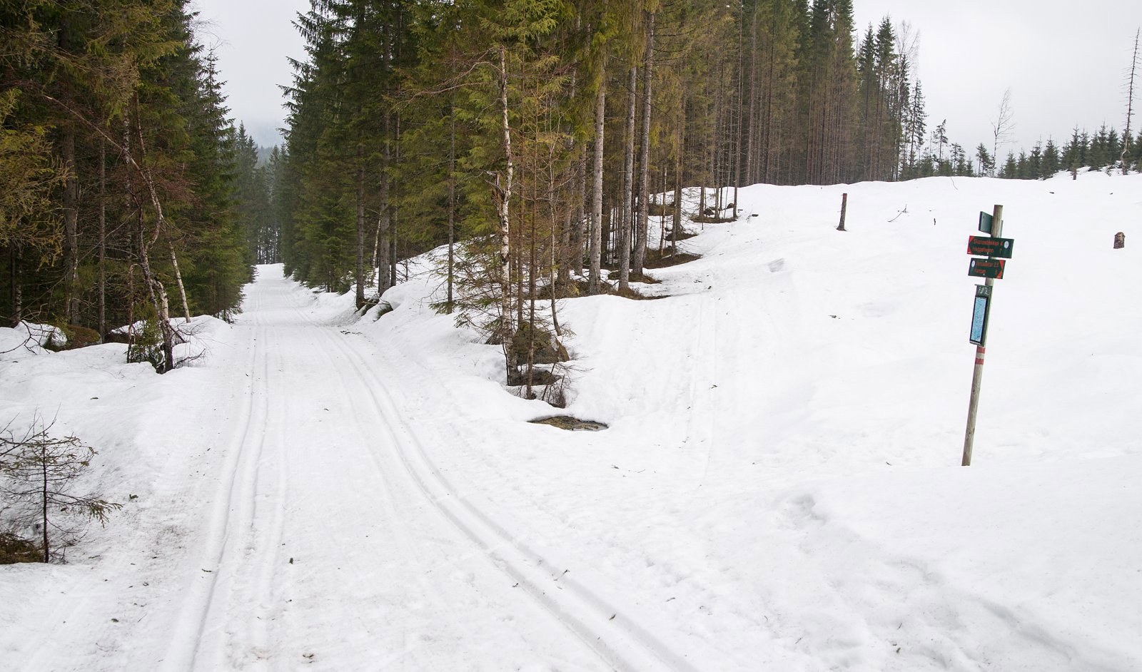 Brukbart ved Fløyta