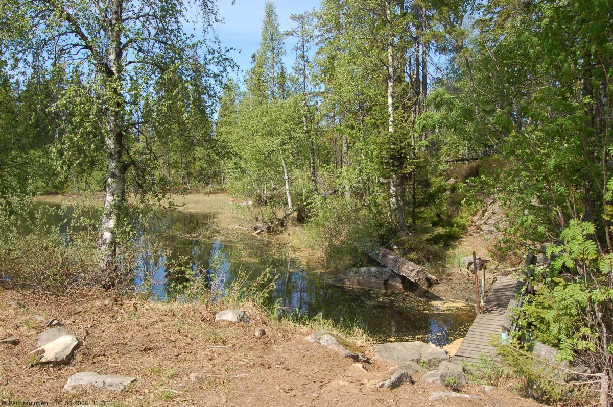 Dammen på Råbjørn