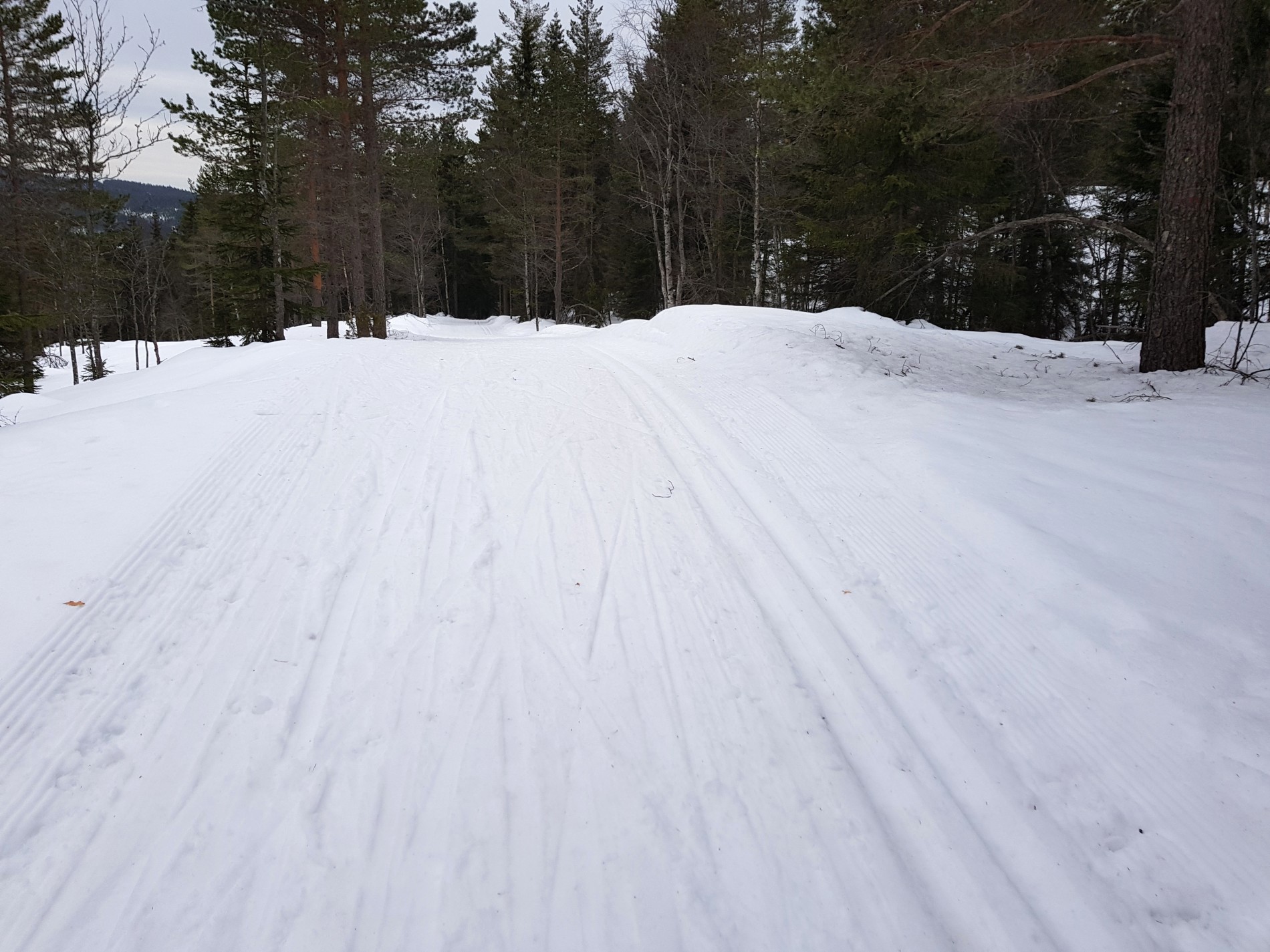 Del av løype 125 mot Aurtjern