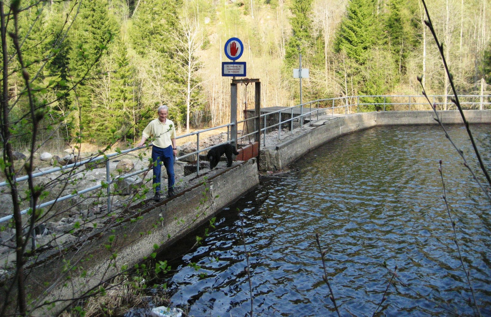Demningen i Åmotdammen