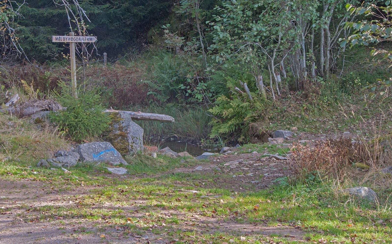 Den gamle Feiringsvegen ved Holtjennet
