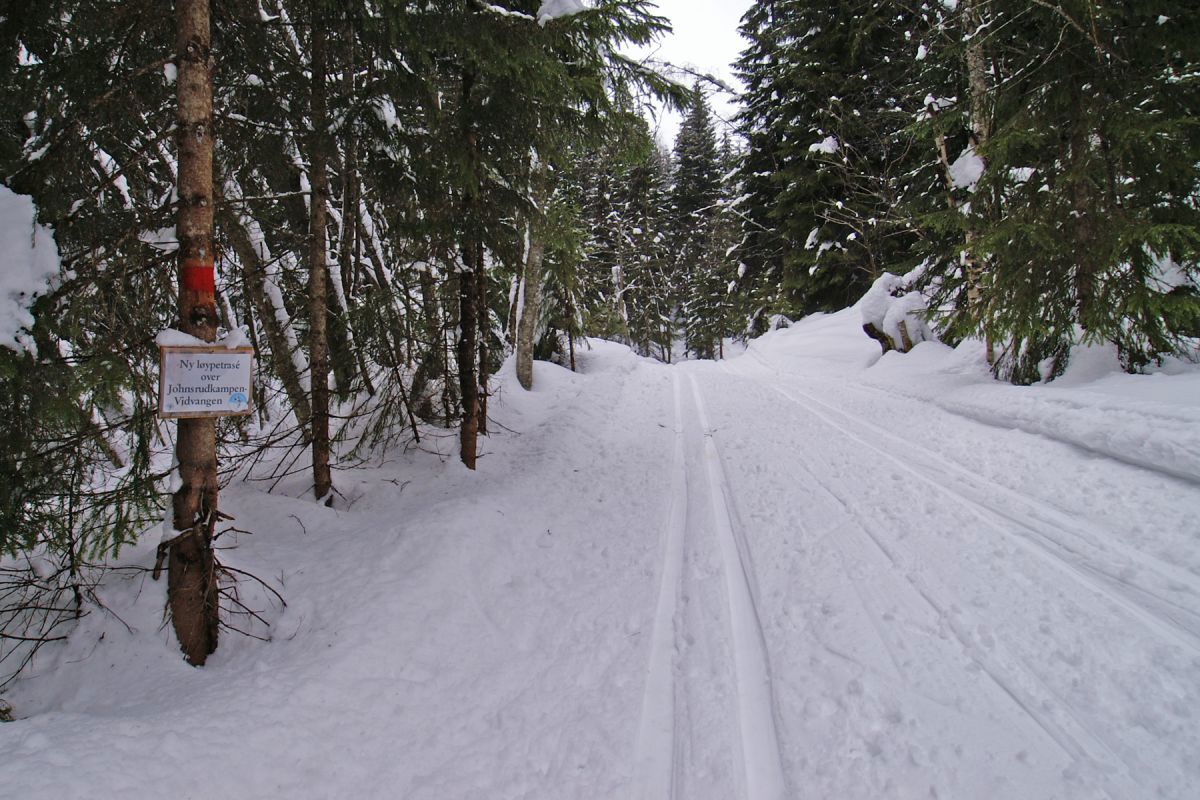 Den nye traseen til Vidvangen